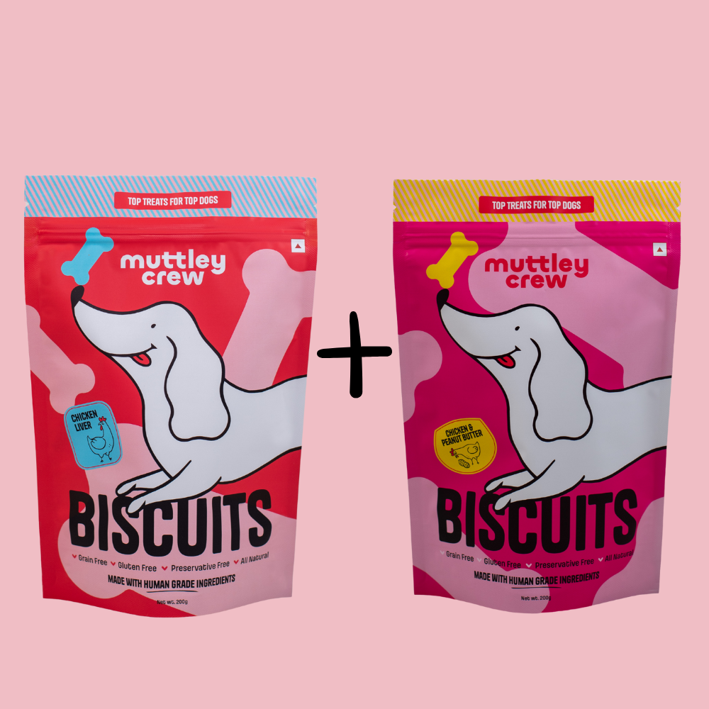 The Chicken Situation