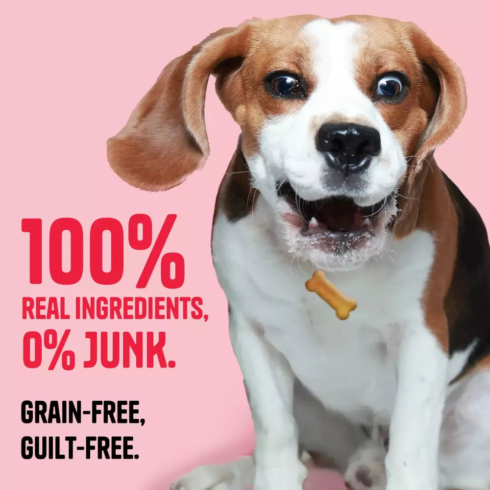 Apple & Cinnamon Biscuits - Muttley Crew Pet Treats Private Limited