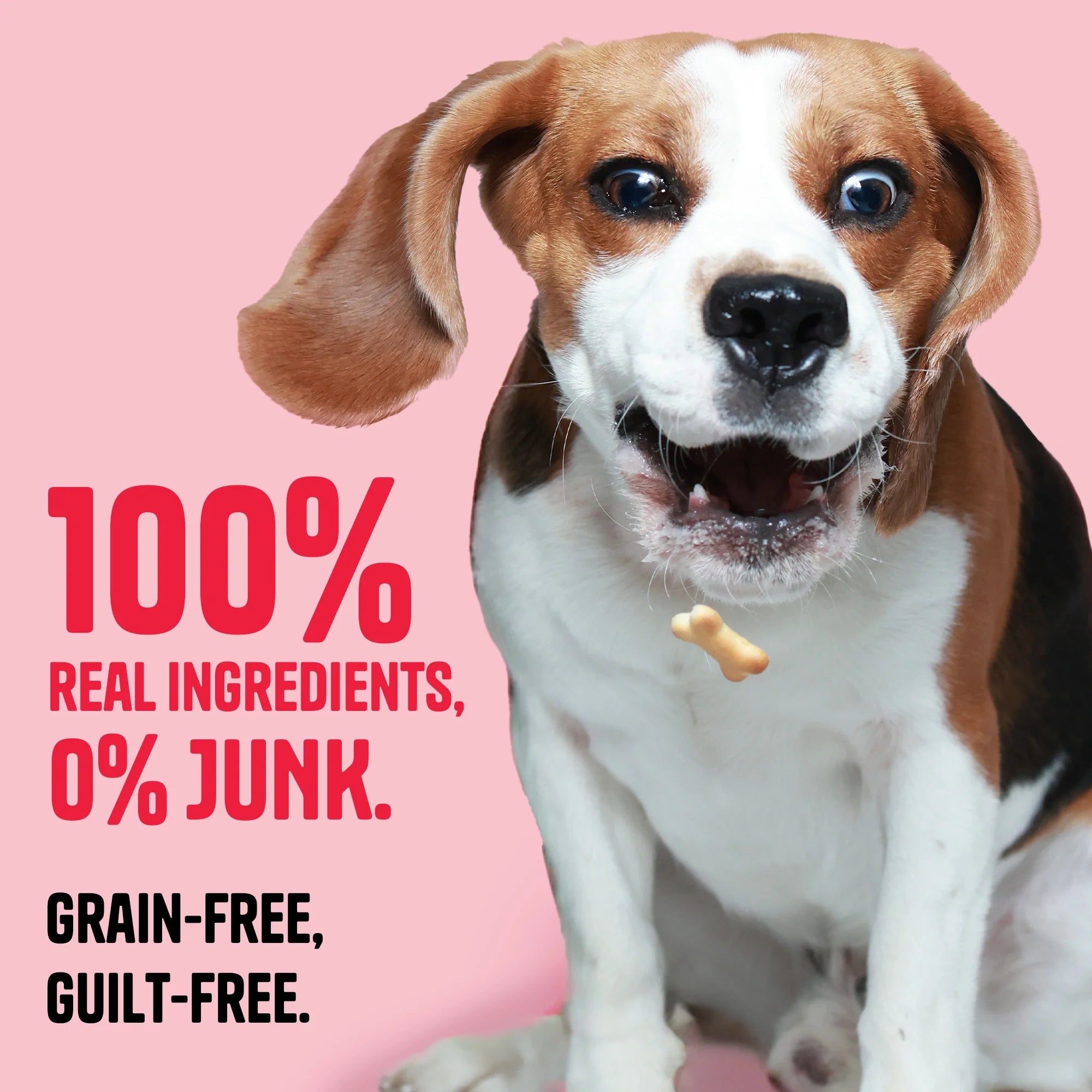 Chicken & Peanut Butter Biscuits - Muttley Crew Pet Treats Private Limited